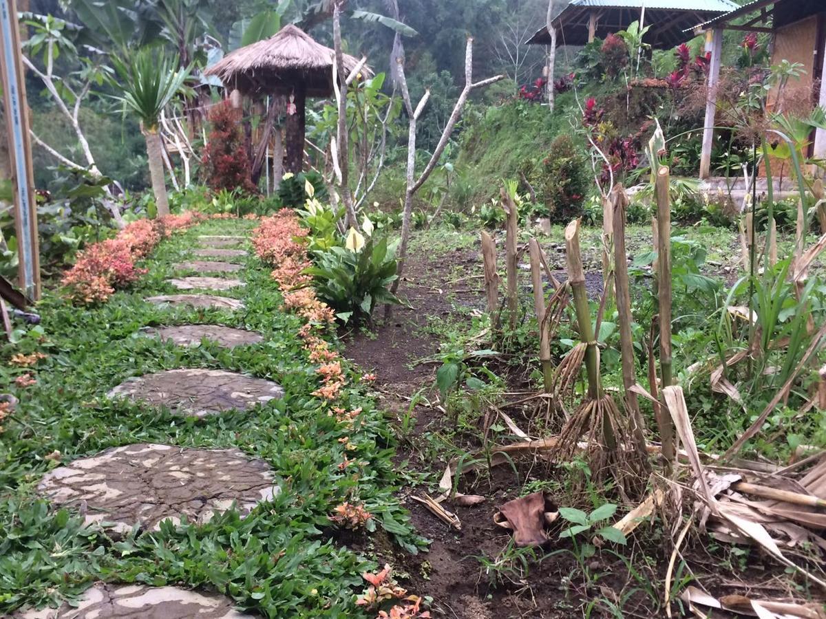 Bali Tree House Pelangi Διαμέρισμα Bedugul  Εξωτερικό φωτογραφία