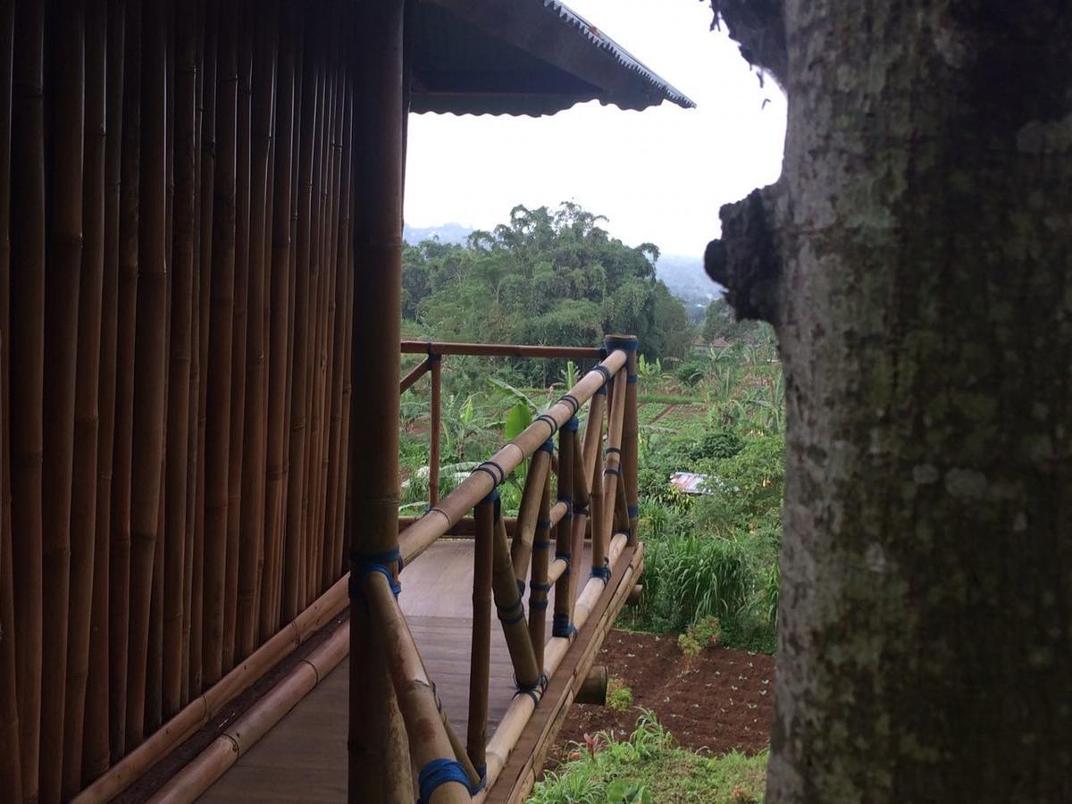 Bali Tree House Pelangi Διαμέρισμα Bedugul  Εξωτερικό φωτογραφία