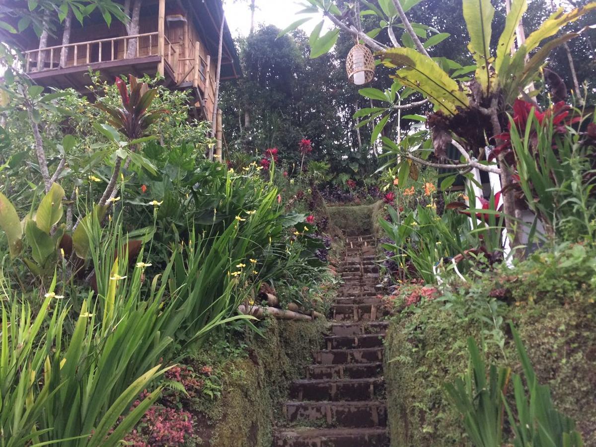 Bali Tree House Pelangi Διαμέρισμα Bedugul  Εξωτερικό φωτογραφία