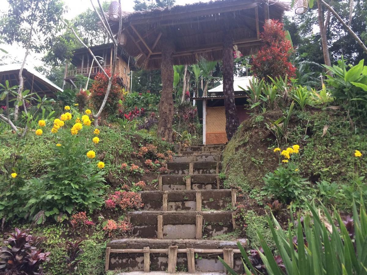 Bali Tree House Pelangi Διαμέρισμα Bedugul  Εξωτερικό φωτογραφία