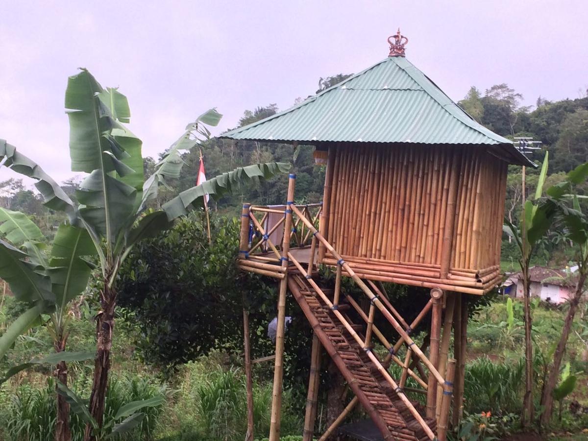 Bali Tree House Pelangi Διαμέρισμα Bedugul  Εξωτερικό φωτογραφία