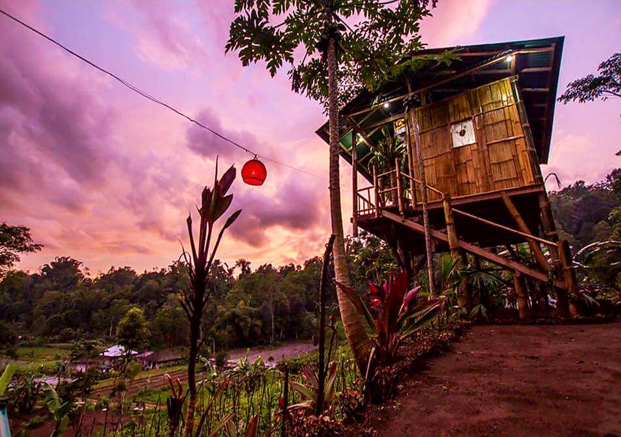 Bali Tree House Pelangi Διαμέρισμα Bedugul  Εξωτερικό φωτογραφία