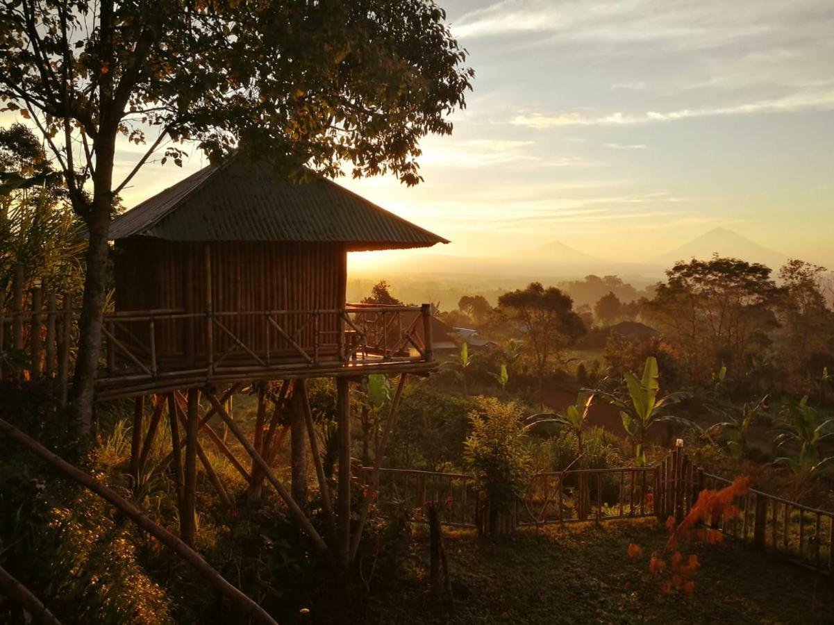 Bali Tree House Pelangi Διαμέρισμα Bedugul  Εξωτερικό φωτογραφία