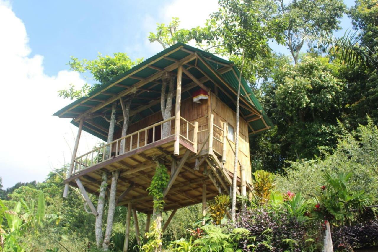 Bali Tree House Pelangi Διαμέρισμα Bedugul  Εξωτερικό φωτογραφία