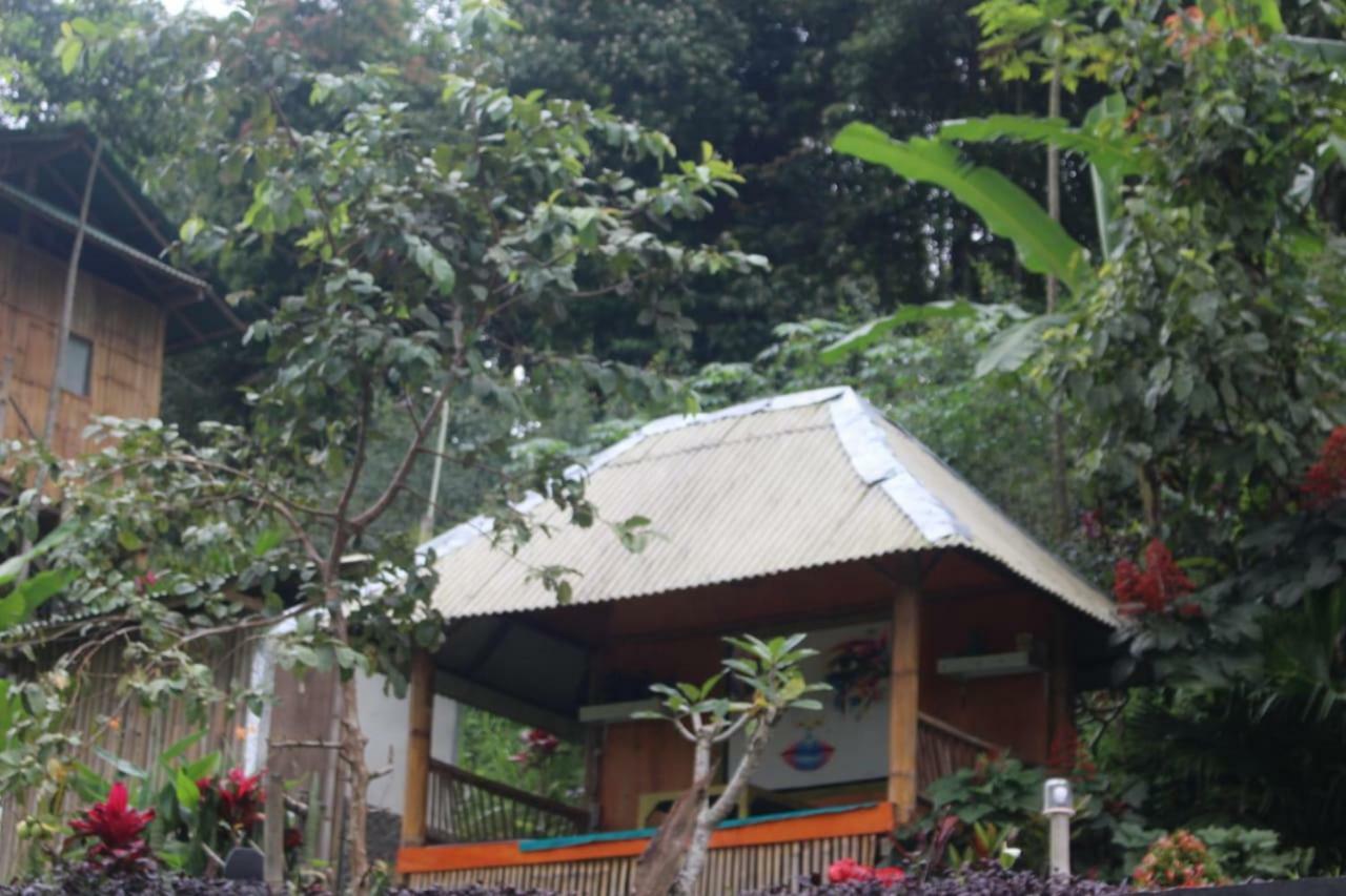 Bali Tree House Pelangi Διαμέρισμα Bedugul  Εξωτερικό φωτογραφία