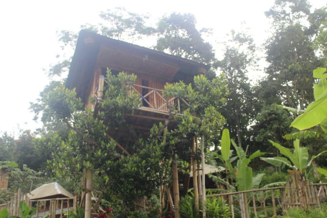 Bali Tree House Pelangi Διαμέρισμα Bedugul  Εξωτερικό φωτογραφία