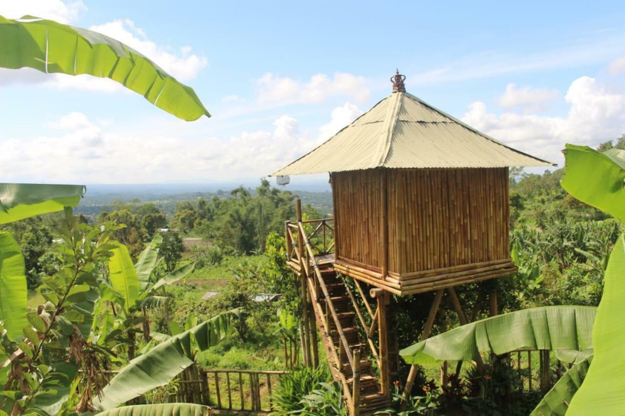 Bali Tree House Pelangi Διαμέρισμα Bedugul  Εξωτερικό φωτογραφία