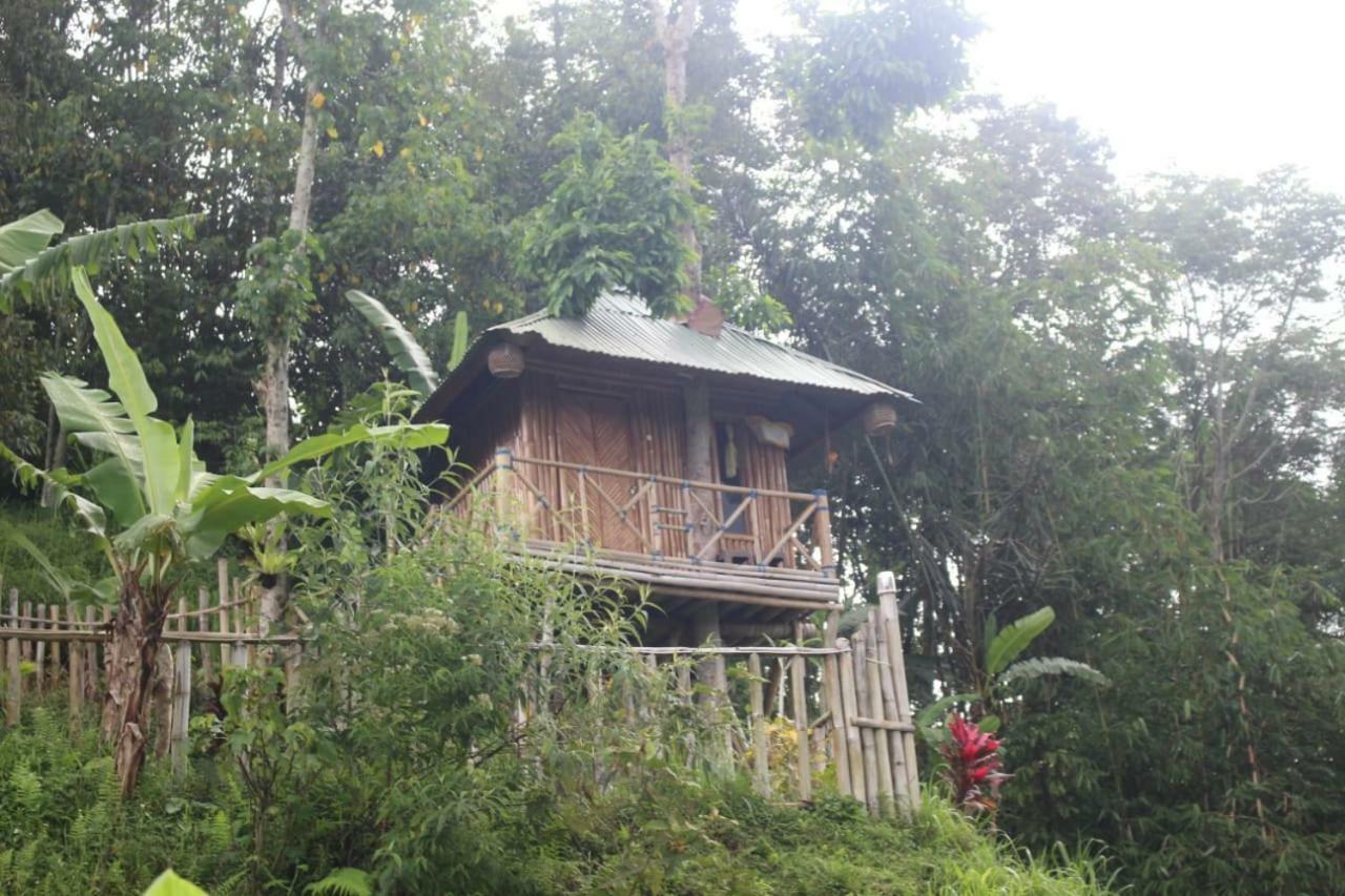 Bali Tree House Pelangi Διαμέρισμα Bedugul  Εξωτερικό φωτογραφία