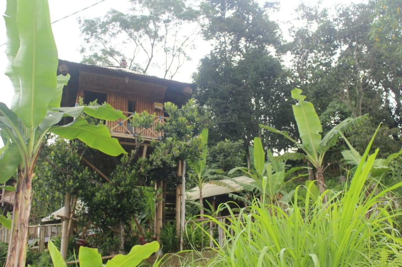 Bali Tree House Pelangi Διαμέρισμα Bedugul  Εξωτερικό φωτογραφία