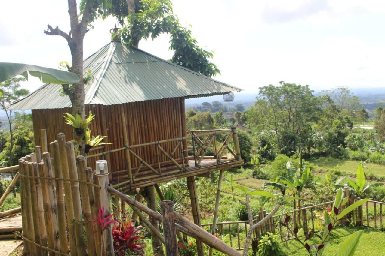 Bali Tree House Pelangi Διαμέρισμα Bedugul  Εξωτερικό φωτογραφία