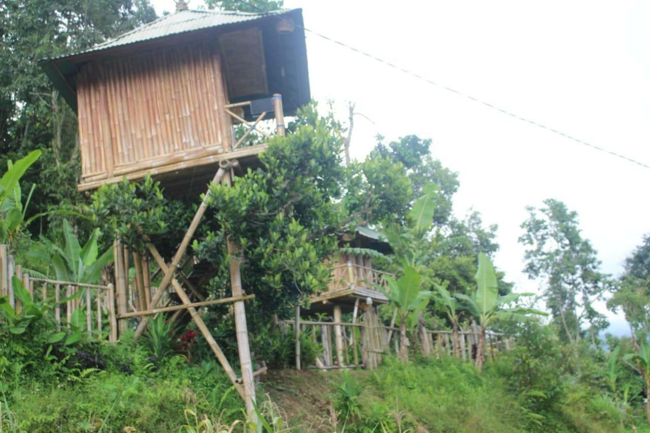 Bali Tree House Pelangi Διαμέρισμα Bedugul  Εξωτερικό φωτογραφία