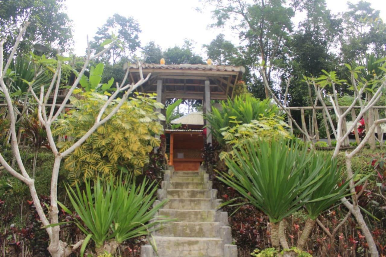 Bali Tree House Pelangi Διαμέρισμα Bedugul  Εξωτερικό φωτογραφία