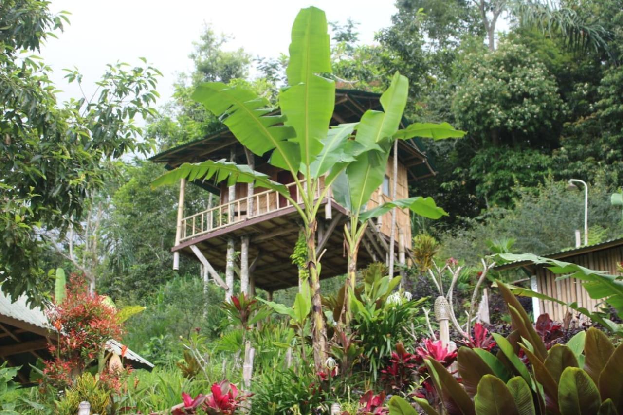 Bali Tree House Pelangi Διαμέρισμα Bedugul  Εξωτερικό φωτογραφία