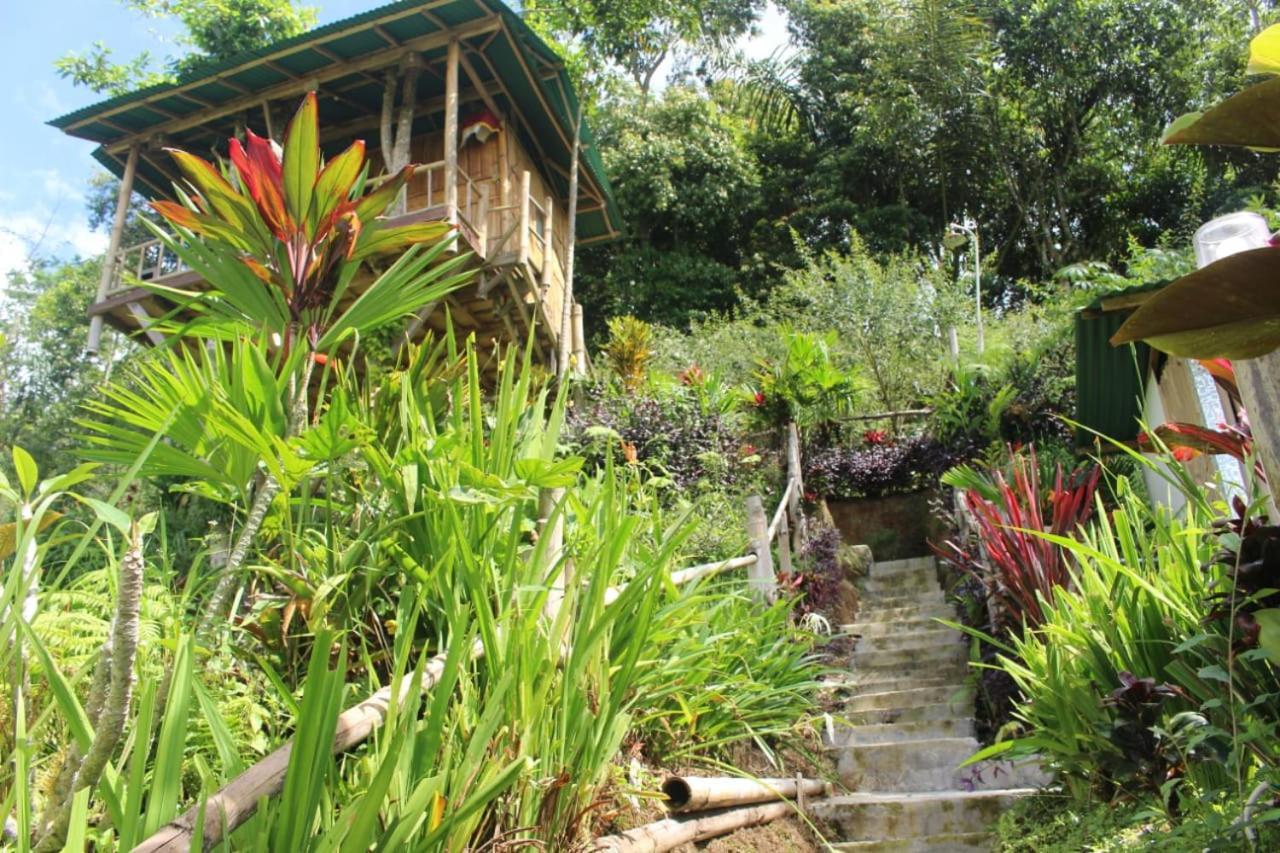 Bali Tree House Pelangi Διαμέρισμα Bedugul  Εξωτερικό φωτογραφία