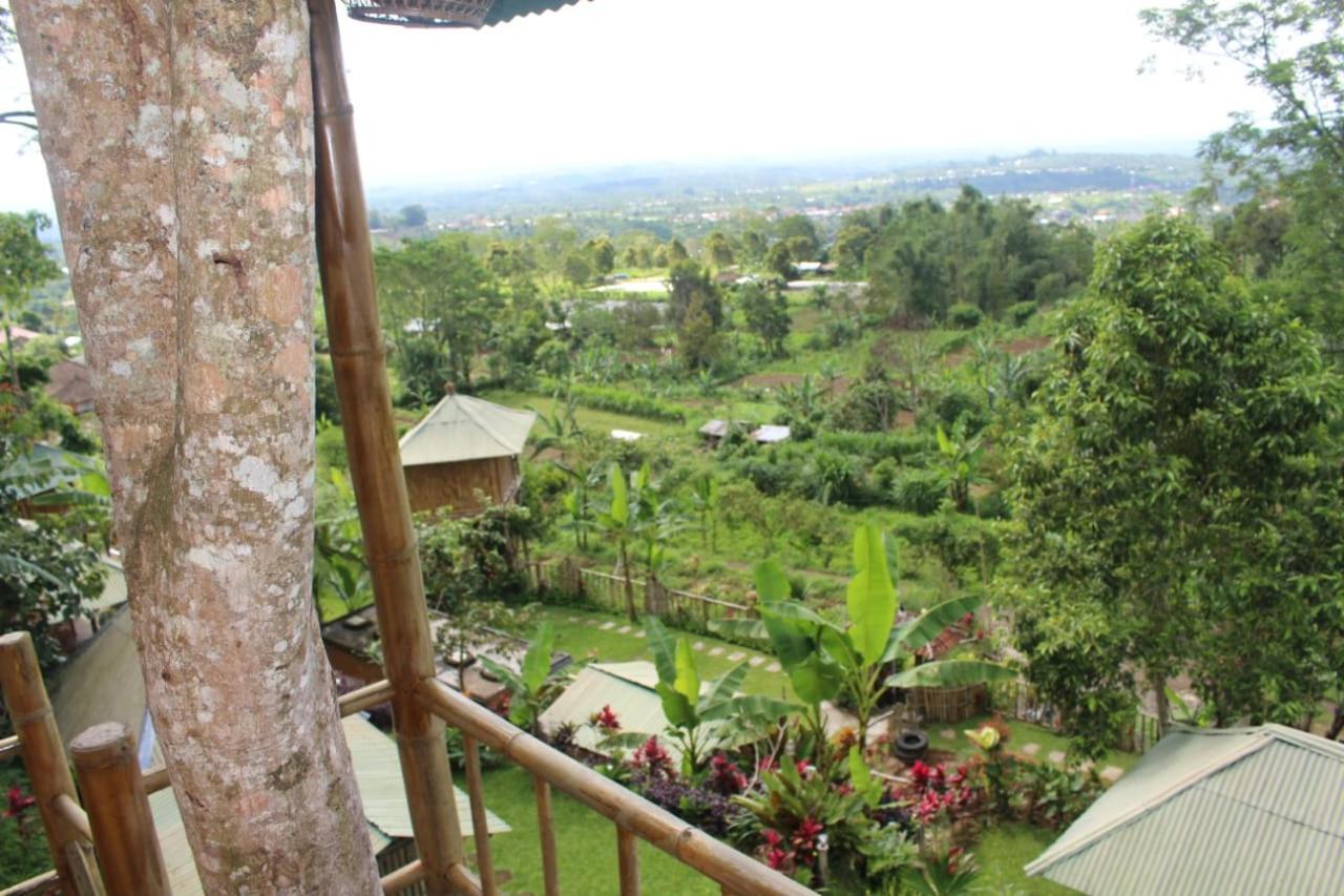 Bali Tree House Pelangi Διαμέρισμα Bedugul  Εξωτερικό φωτογραφία