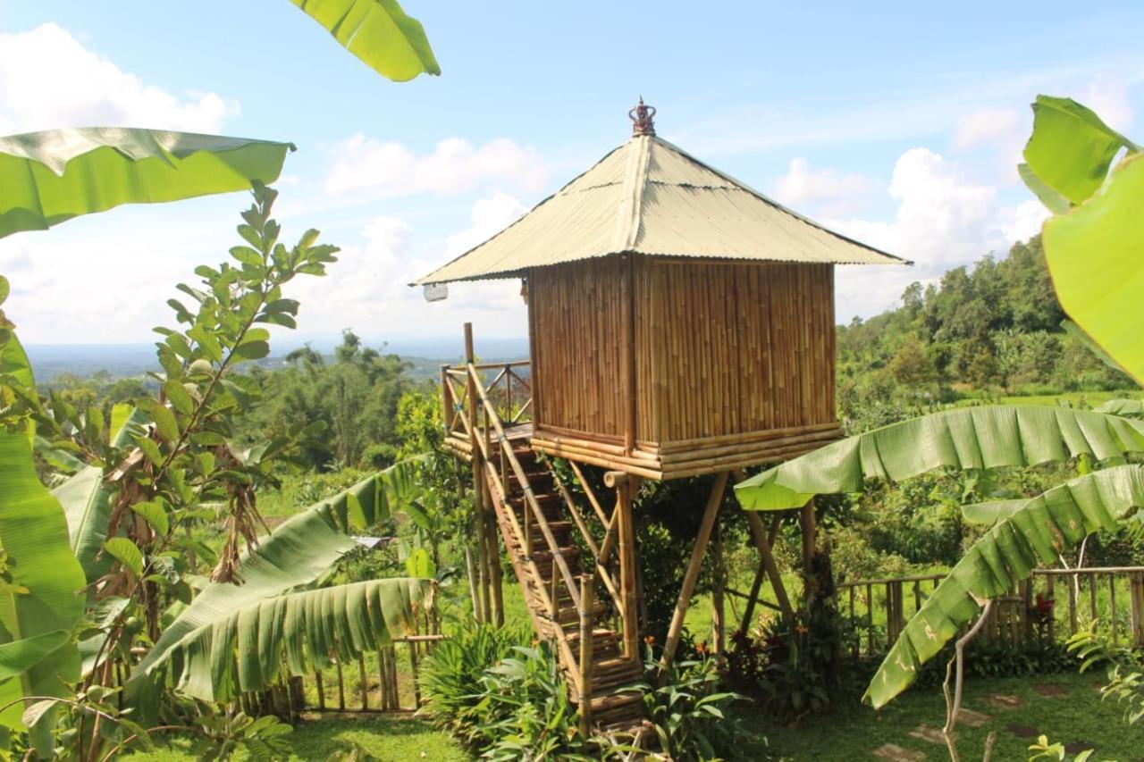 Bali Tree House Pelangi Διαμέρισμα Bedugul  Εξωτερικό φωτογραφία