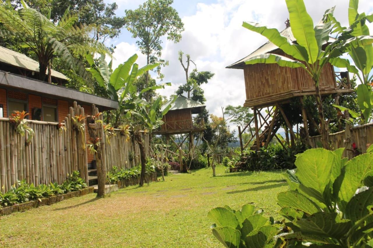 Bali Tree House Pelangi Διαμέρισμα Bedugul  Εξωτερικό φωτογραφία