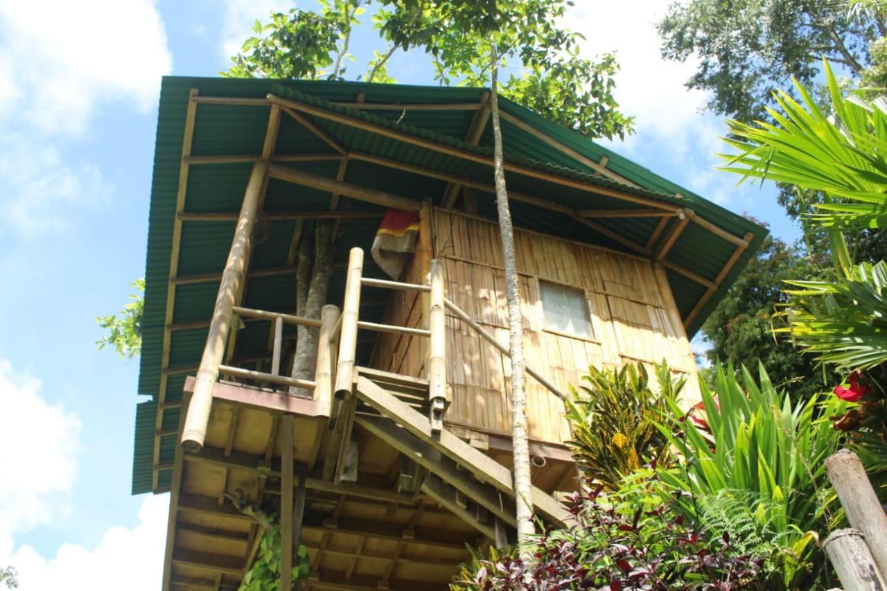 Bali Tree House Pelangi Διαμέρισμα Bedugul  Εξωτερικό φωτογραφία