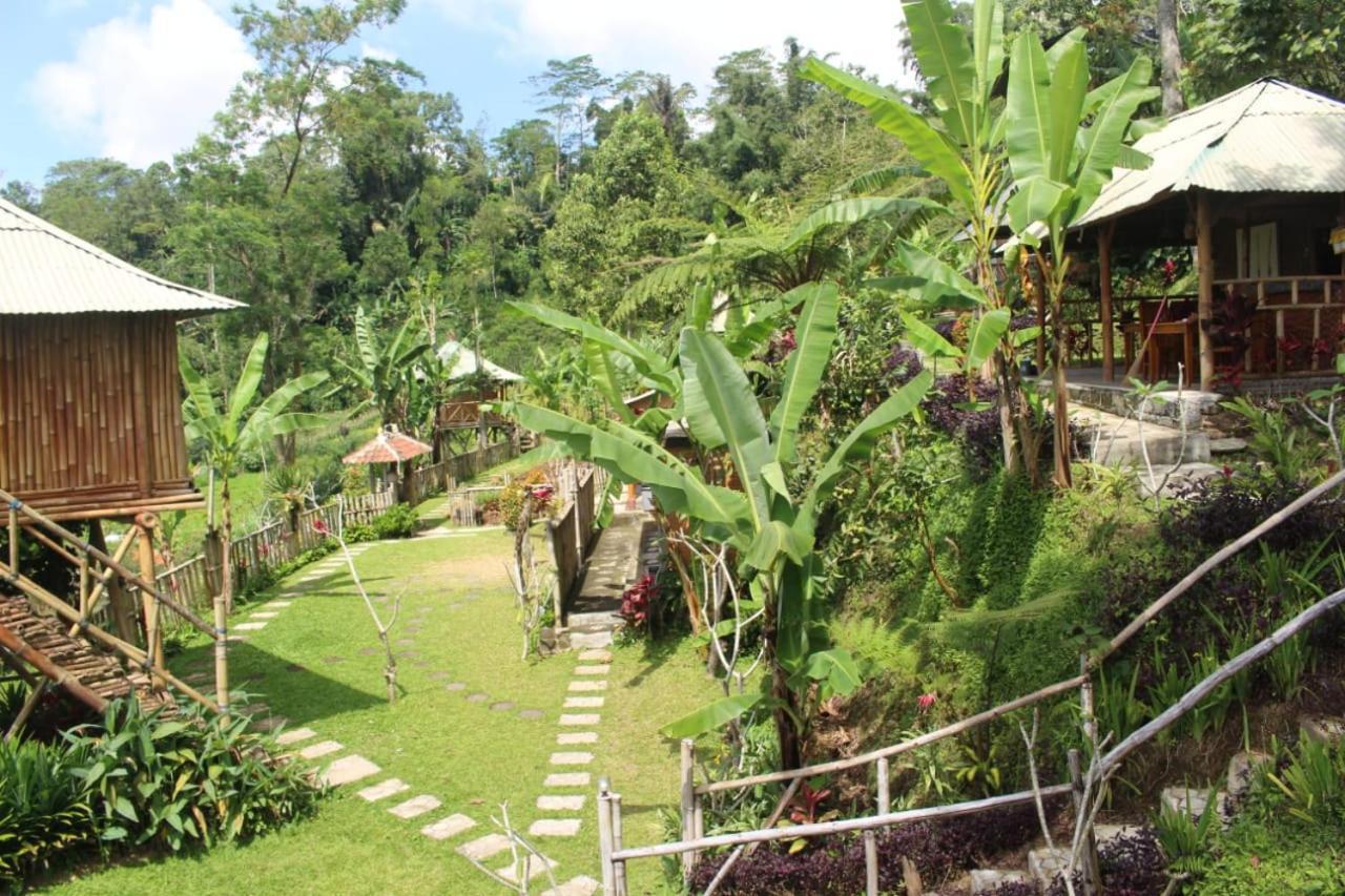 Bali Tree House Pelangi Διαμέρισμα Bedugul  Εξωτερικό φωτογραφία