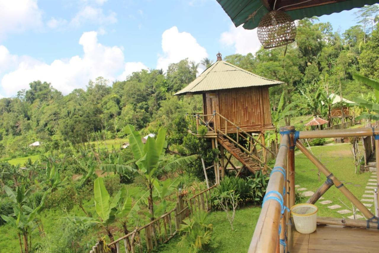 Bali Tree House Pelangi Διαμέρισμα Bedugul  Εξωτερικό φωτογραφία