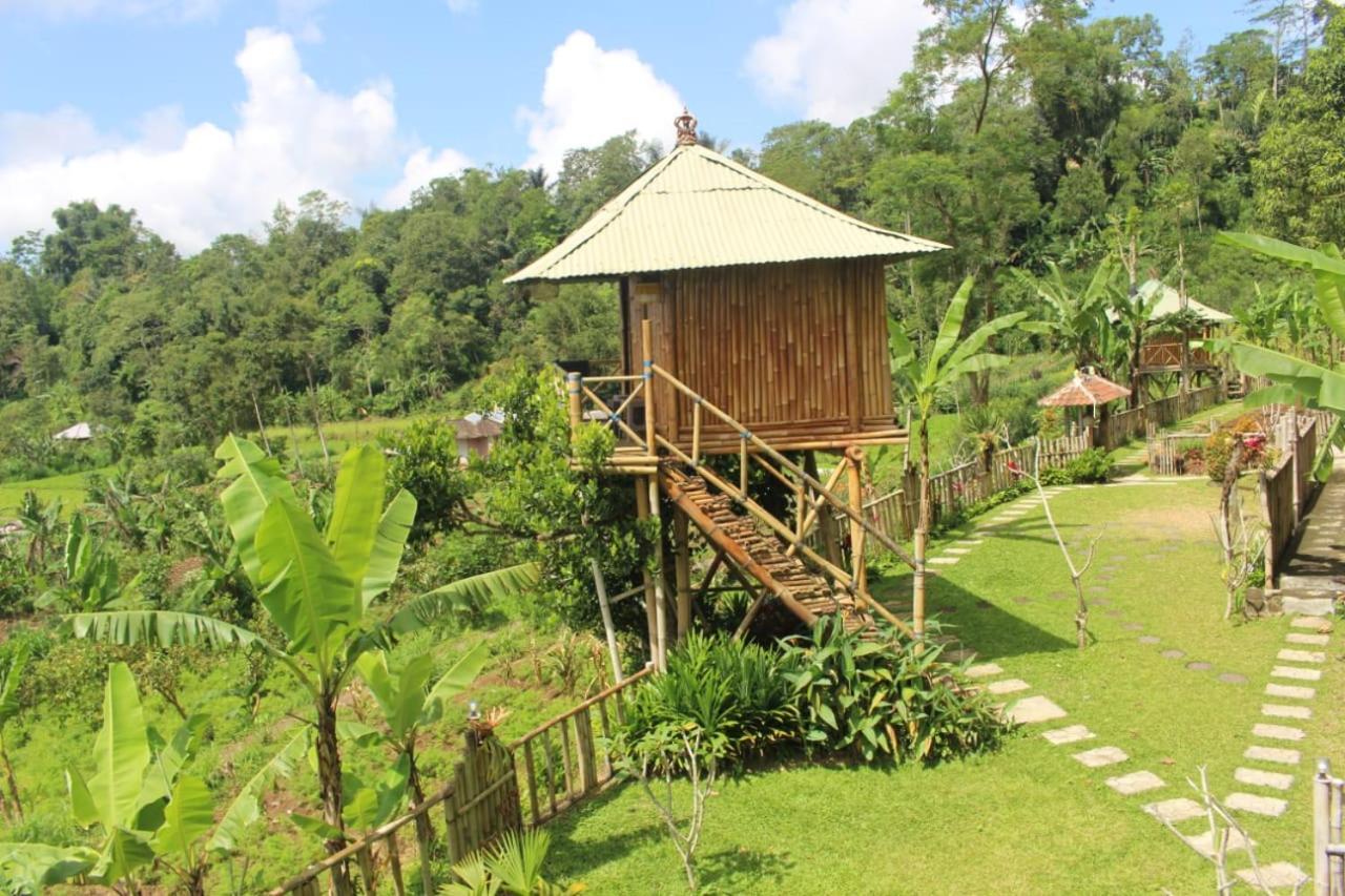 Bali Tree House Pelangi Διαμέρισμα Bedugul  Εξωτερικό φωτογραφία