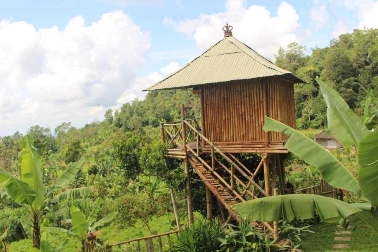 Bali Tree House Pelangi Διαμέρισμα Bedugul  Εξωτερικό φωτογραφία