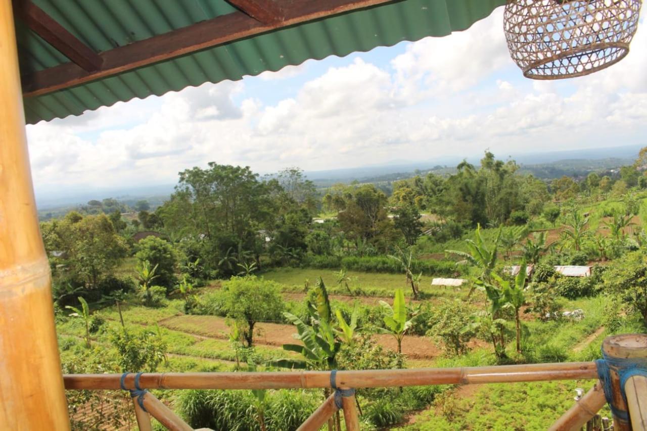 Bali Tree House Pelangi Διαμέρισμα Bedugul  Εξωτερικό φωτογραφία