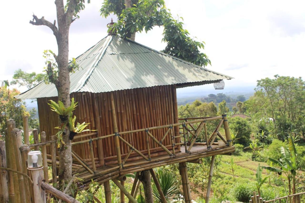 Bali Tree House Pelangi Διαμέρισμα Bedugul  Εξωτερικό φωτογραφία