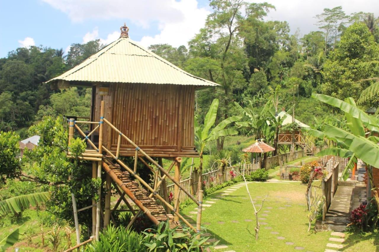 Bali Tree House Pelangi Διαμέρισμα Bedugul  Εξωτερικό φωτογραφία