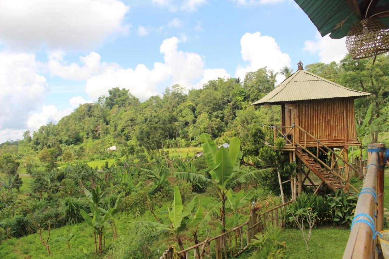 Bali Tree House Pelangi Διαμέρισμα Bedugul  Εξωτερικό φωτογραφία