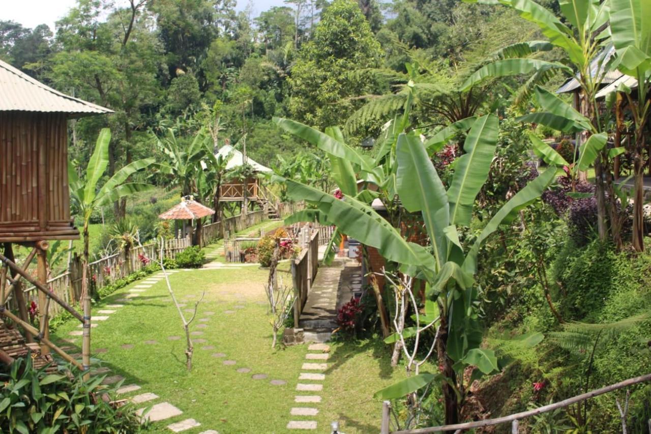 Bali Tree House Pelangi Διαμέρισμα Bedugul  Εξωτερικό φωτογραφία
